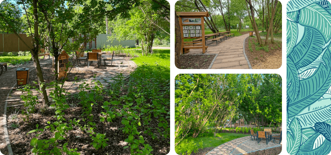 Ilustracje przedstawiające park