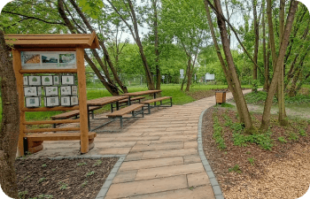 Przyjrzyjmy się bliżej atrakcjom i udogodnieniom, które sprawiają, że Olsza Park Pod Białuchą to idealne miejsce do spędzenia czasu na świeżym powietrzu.