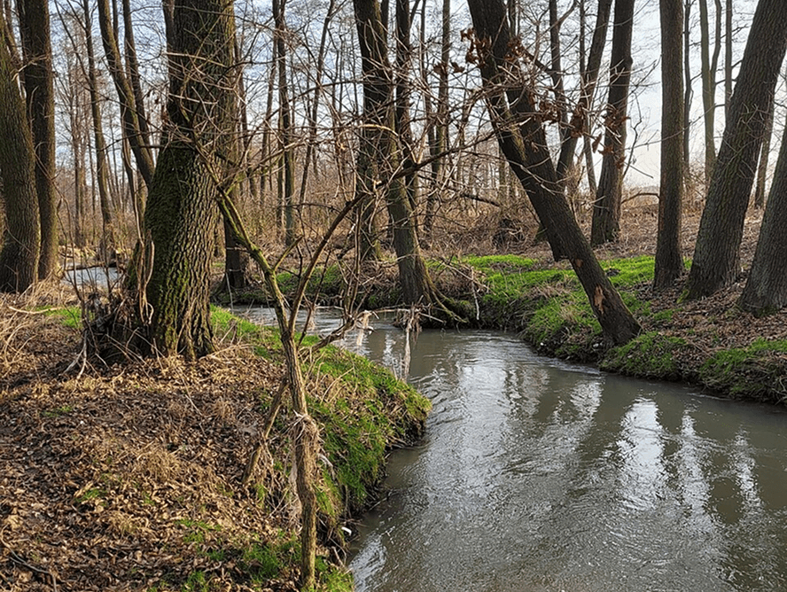 Ilustracja prezentujaca wejscie do parku